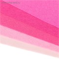 Фетр цветной мягкий A4 deVENTE. "Оттенки розового" 5 цветов, 5 листов, толщина 2 мм 4382391 - фото 16872295