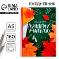 Ежедневник учителя «Нашему лучшему учителю», формат А5, твёрдая обложка картон 7БЦ, 160 листов 4631286 - фото 16874830