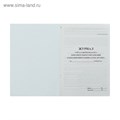 Журнал учёта работы педагога дополнительного образования в объединении (секции, клубе, кружке) А4, 20 листов, обложка офсет 120 г/м², блок писчая бумага 60 г/м² 4871929 - фото 16876241