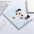 Ежедневник в точку Hi! Panda, А5, 64 листа 4947703 - фото 16878339