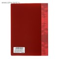 Набор папок А5, 20 вкладышей, Calligrata, карман на корешке, красные, 3 штуки 5153715 - фото 16879548