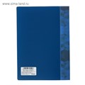 Набор папок А5, 20 вкладышей, Calligrata, карман на корешке, синие, 3 штуки 5153716 - фото 16879552