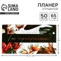 Планер с отрывными листами, 50 л. 17х9см  «Ты прекрасна!» 5360709 - фото 16880981