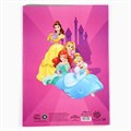 Набор «Принцессы» А4: 8 листов цветного одностороннего мелованного картона, 8 листов цветной двусторонней бумаги 4979449 - фото 16881367