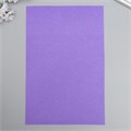 Фетр жесткий 1 мм "Аметист" набор 10 листов формат А4 5364674 - фото 16881907