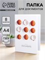 Папка для семейных документов «Docs», 8 файлов А4 5365341 - фото 16883971