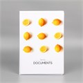 Папка для семейных документов «Docs», 8 файлов А4 5365342 - фото 16883981