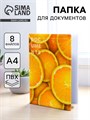 Папка для документов «Docs», 8 файлов А4 5365287 - фото 16884228