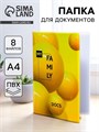 Папка для семейных документов «Docs», 8 файлов А4 5365337 - фото 16884324