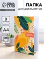 Папка для семейных документов «Docs», 8 файлов А4 5365347 - фото 16884348