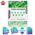 Файл-вкладыш А4, 40 мкм, Calligrata, матовый, вертикальный, 100 штук 6534841 - фото 16884931