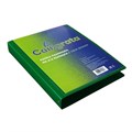 Папка на 4 кольцах А4, Calligrata "Панорама", 40 мм, 700 мкм, лицевой карман, зелёная, МИКС 6579808 - фото 16886570