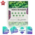 Файл-вкладыш А4, 45 мкм, Calligrata, глянцевый, вертикальный, 100 штук 6534844 - фото 16886574