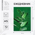 Ежедневник в тонкой обложке А5, 72 листа «Зеленый фикус» 7337687 - фото 16888337