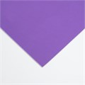 Фоамиран "Аметист" 1 мм набор 10 листов 50х50 см 7549301 - фото 16895164