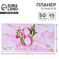 Планер мини с отрывными листами «Тюльпаны», А6, 50 листов 9178283 - фото 16895992