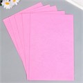 Фетр жёсткий 1 мм "Нежно-розовый" набор 5 листов формат А4 9286088 - фото 16896485
