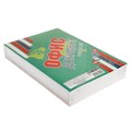 Бумага А4 250л Офис документ премиум, 160г/м2, бел 155%, класс В в т/у пленке 9382512 - фото 16897543