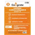Карман самоклеящийся А4, 223 х 303 мм, комплект 5 штуки, Calligrata, 110 мкм, на лицевую сторону папок и любые гладкие поверхности 9346787 - фото 16897709