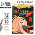 Ежедневник, твёрдая обложка, формат А5, 80 листов «Учителю: Мудрый учитель» 9559797 - фото 16909573