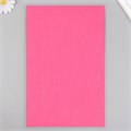 Фетр жёсткий 1 мм "Розовый" набор 5 листов формат А4 9898779 - фото 16909592