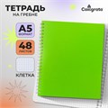 Тетрадь на гребне A5 48 листов в клетку Calligrata Салатовая, пластиковая обложка, блок офсет 9253714 - фото 16910416