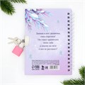 Новый год. Блокнот на замочке «Подарок для маленькой принцессы!», 50 л 9654656 - фото 16911133