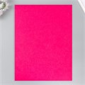 Фетр 1 мм "Фуксия" набор 4 листа 30х40 см 9907173 - фото 16920327