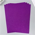 Фетр 1 мм "Тёмно-фиолетовый" набор 4 листа 30х40 см 9907191 - фото 16920353
