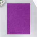Фетр 1 мм "Фиолетовый" набор 4 листа 30х40 см 9907192 - фото 16920359