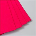 Фетр 2 мм "Фуксия" набор 4 листа 30х40 см 9907203 - фото 16920378