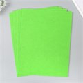Фетр 2 мм "Неоново-зелёный" набор 4 листа 30х40 см 9907214 - фото 16920389