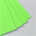 Фетр 2 мм "Неоново-зелёный" набор 4 листа 30х40 см 9907214 - фото 16920390