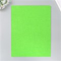 Фетр 2 мм "Неоново-зелёный" набор 4 листа 30х40 см 9907214 - фото 16920391