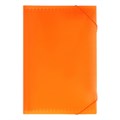 Папка картотека Calligrata Неон 13 отдел. A4 пластик 0.7мм оранж. рез в цвет 10111466 - фото 16932123