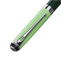 Ручка подарочная роллер в кожзам футляре Классика корпус зеленый/серебро 10562194 - фото 16936355