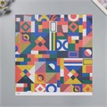Бумага для скрапбукинга "Color geometry" плотность 180 гр набор 5 шт 30,5х32 см 10718209 - фото 16937523