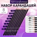 Набор карандашей чернографитных 8 штук (14В, 10В, 6В, 4В, 2В, В, Н, 2Н) 10325522 - фото 16940256