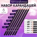 Набор карандашей чернографитных 6 штук (14В, 12В, 10В, 8В, 6В, 4В) 10325525 - фото 16940264