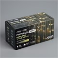 Гирлянда «Бахрома» 3 × 0.6 м, IP44, УМС, прозрачная нить, 160 LED, свечение тёплое белое, 220 В 1080163 - фото 16953301