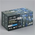 Гирлянда «Бахрома» 3 × 0.6 м, IP44, УМС, белая нить, 160 LED, свечение бело-синее, мигание, 220 В 1080183 - фото 16953473