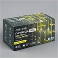 Гирлянда «Бахрома» 3 × 0.6 м, IP44, УМС, белая нить, 160 LED, свечение жёлтое, мерцание белым, 220 В 3584173 - фото 16957611