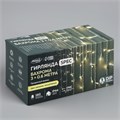 Гирлянда «Бахрома» 3 × 0.6 м, IP44, УМС, прозрачная нить, 160 LED, свечение тёплое белое, мерцание белым, 220 В 4356983 - фото 16961255