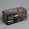 Гирлянда «Бахрома» 3 × 0.6 м, IP44, УМС, прозрачная нить, 160 LED, свечение жёлтое, мерцание белым, 220 В 4356985 - фото 16961884