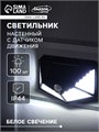 Садовый светильник на солнечной батарее с датчиком движения, накладной, 13 × 9.5 × 5.5 см, 100 LED, свечение белое 4604476 - фото 16962205