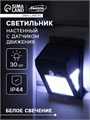 Садовый светильник на солнечной батарее с датчиком движения, накладной, 9.5 × 13 × 5 см, 30 LED, свечение белое 4604472 - фото 16962487