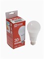 Лампа светодиодная IN HOME LED-A70-VC, Е27, 30 Вт, 230 В, 4000 К, 2850 Лм 5237486 - фото 16963908