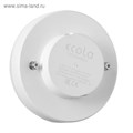 Лампа светодиодная Ecola Premium, GX53, 8 Вт, 6000 К, 220 В, 27х75мм, диммирование 3 ступени 5375328 - фото 16964721 Лампа светодиодная Ecola Premium, GX53, 8 Вт, 6000 К, 220 В, 27х75мм, диммирование 3 ступени 5375328 - фото 16964721
