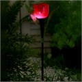 Садовый светильник на солнечной батарее «Тюльпан красный», 4.5 × 29 × 4.5 см, 1 LED, свечение белое 5363362 - фото 16969434