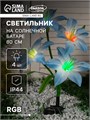 Садовый светильник на солнечной батарее «Лилия синяя», 80 см,4 LED, свечение мульти (RGB) 7291260 - фото 16972996